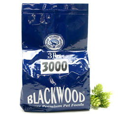 �L�[���[�h